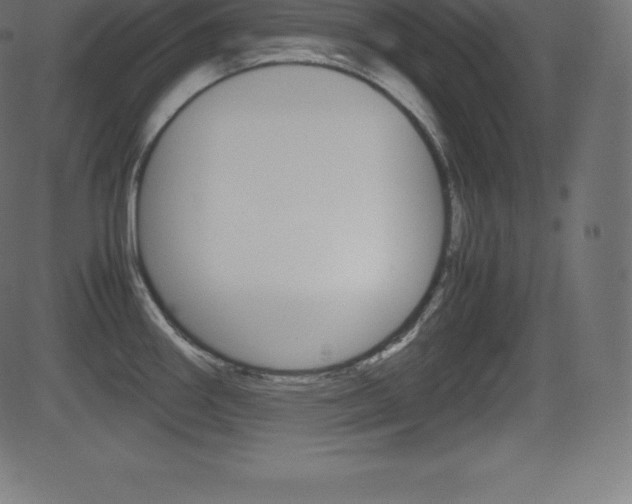 X0000081471290200701121006
