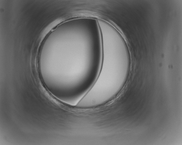 X0000081471293200701121006