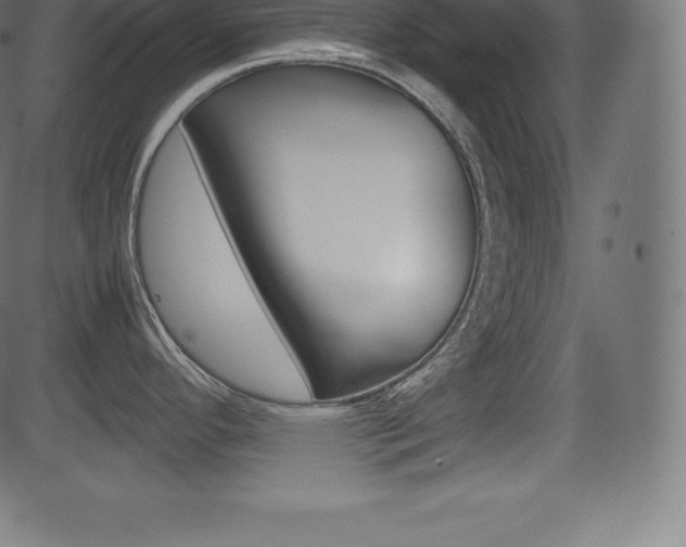 X0000081471296200701121006