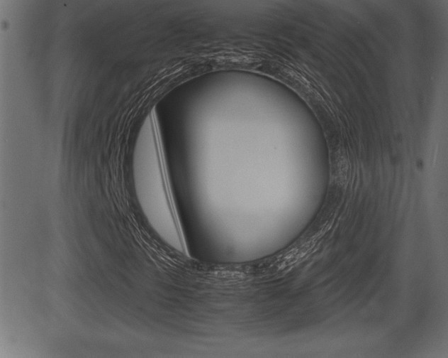 X0000081471297200701121005