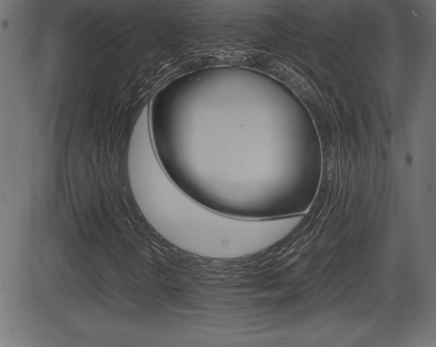 X0000081471298200701121005