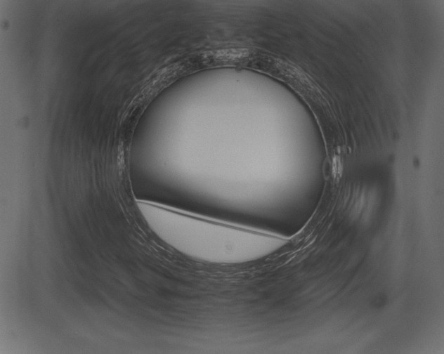 X0000081471299200701121005