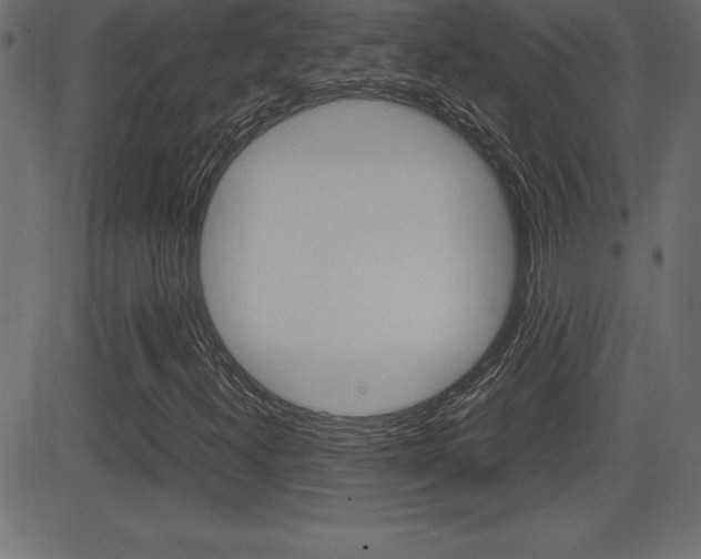 X0000081471300200701121005