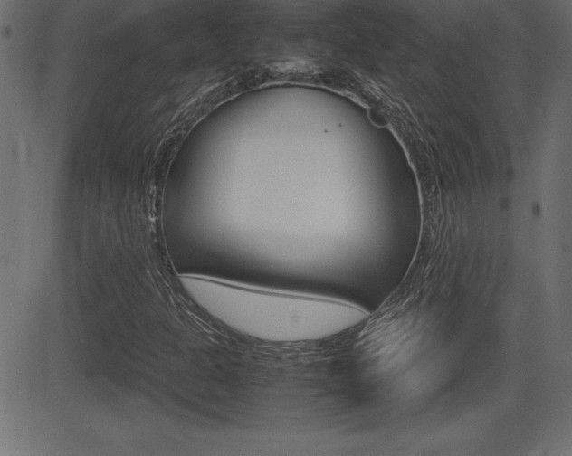 X0000081471301200701121005