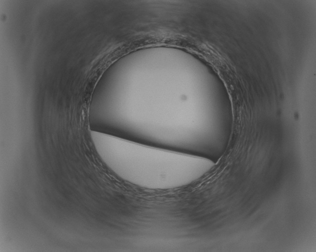 X0000081471302200701121005
