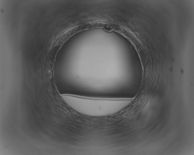 X0000081471303200701121005