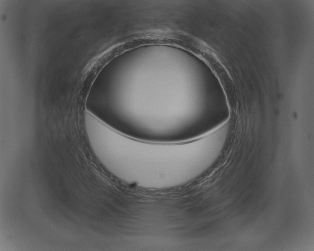 X0000081471304200701121005