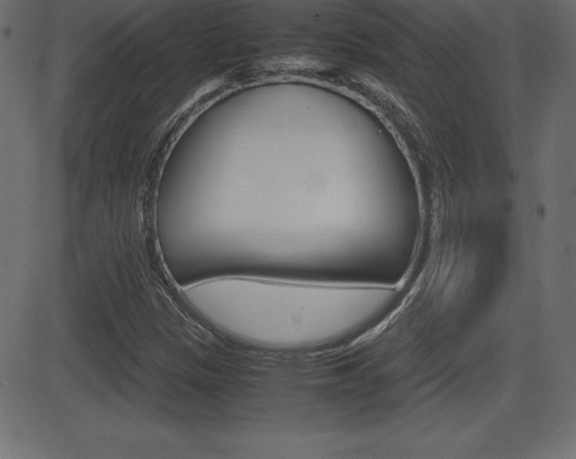X0000081471305200701121005