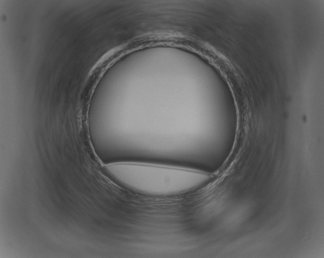 X0000081471306200701121005