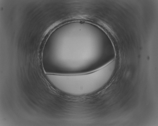 X0000081471308200701121005