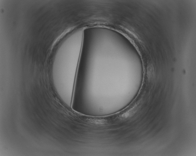 X0000081471309200701121005