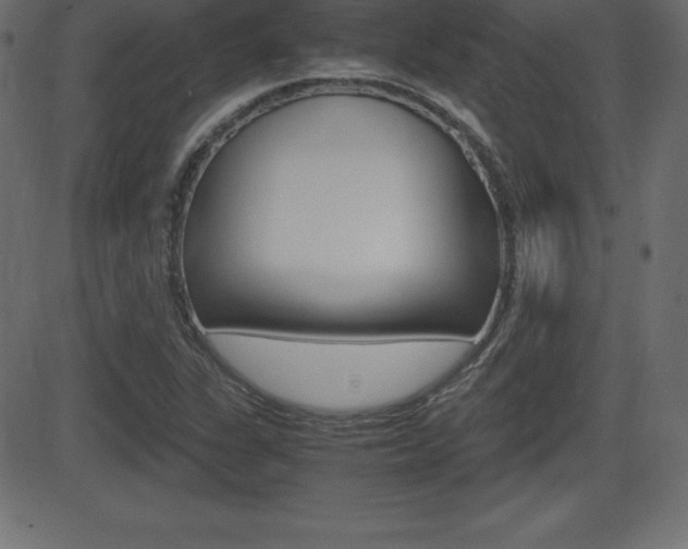 X0000081471311200701121005
