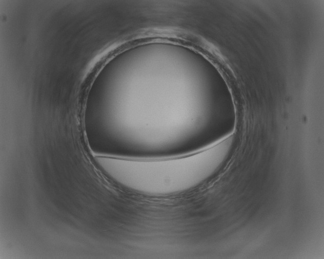 X0000081471312200701121006