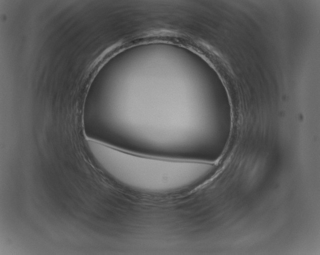 X0000081471313200701121006