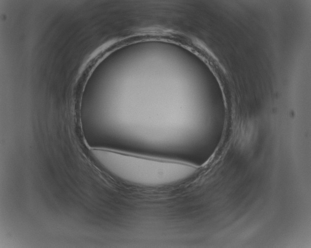 X0000081471315200701121006