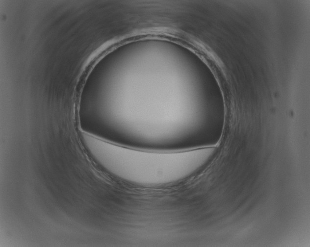 X0000081471316200701121006