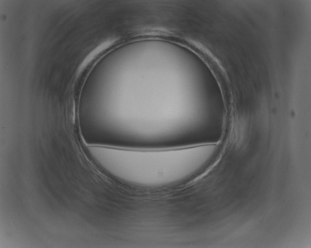 X0000081471317200701121006