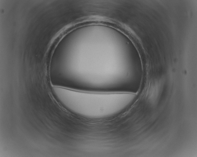 X0000081471318200701121006