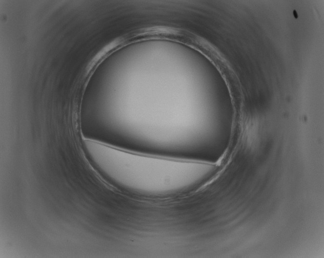 X0000081471321200701121006