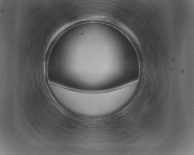 X0000081471324200701121006