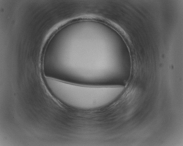 X0000081471327200701121006