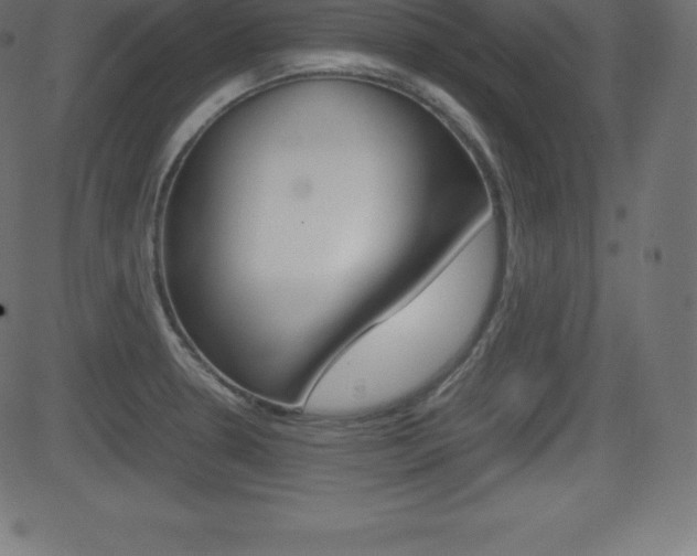 X0000081471330200701121006