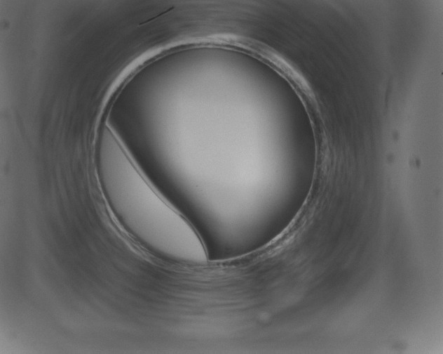 X0000081471332200701121006