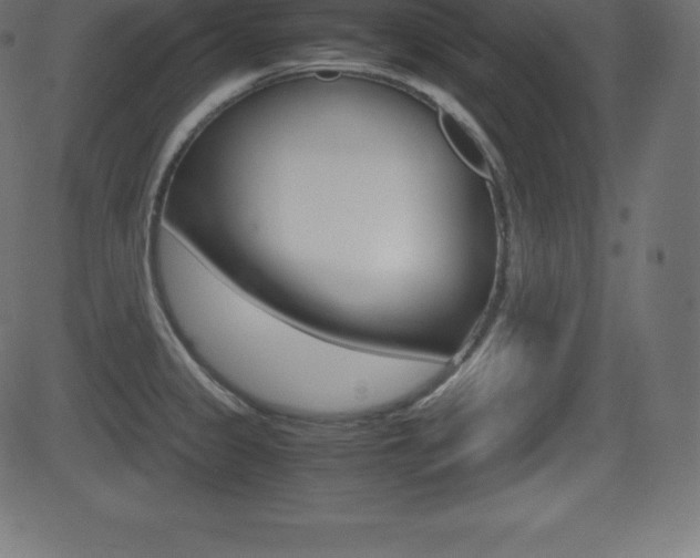 X0000081471333200701121006
