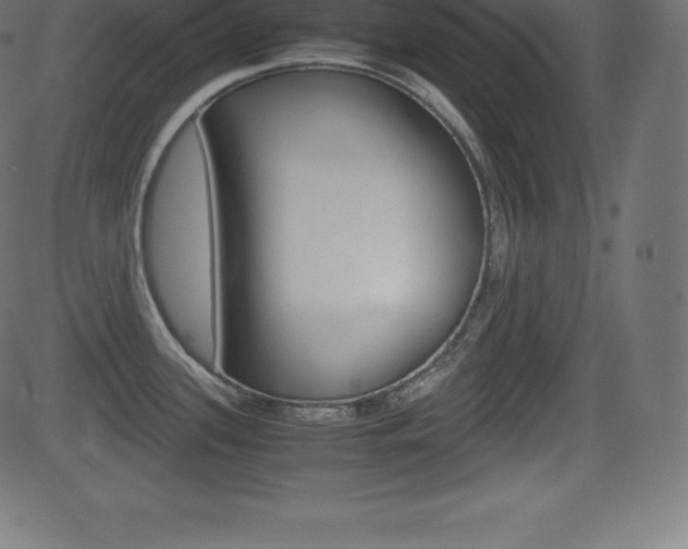 X0000081471339200701121006