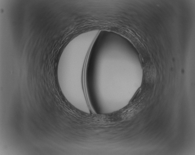 X0000081471345200701121005