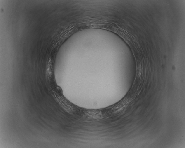 X0000081471346200701121005