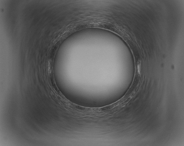 X0000081471347200701121005