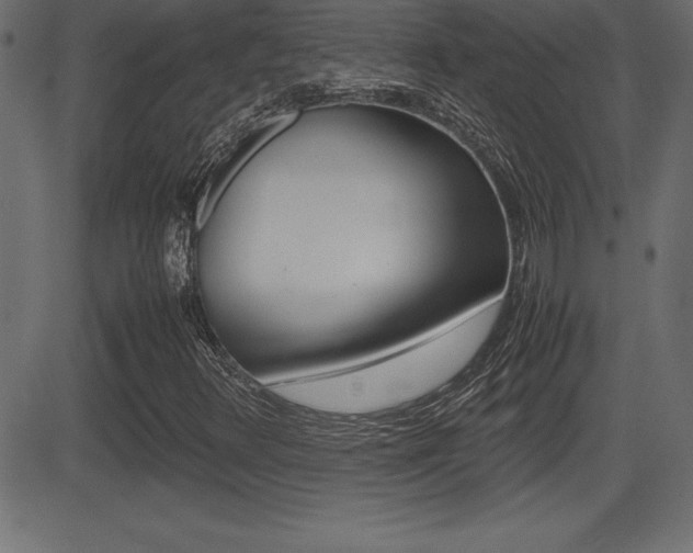 X0000081471348200701121005