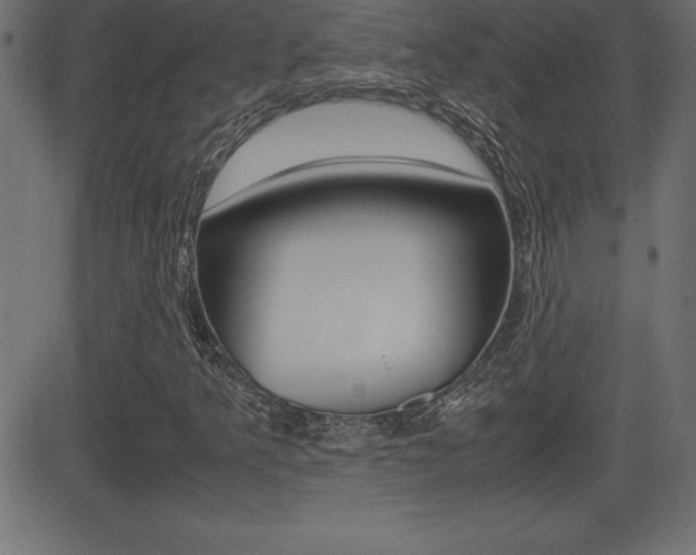 X0000081471349200701121005