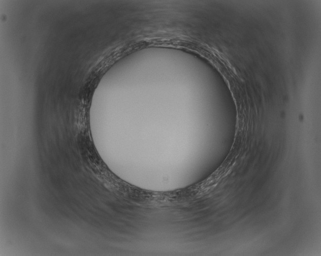 X0000081471350200701121005