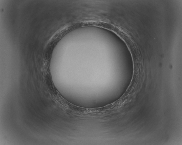 X0000081471351200701121005