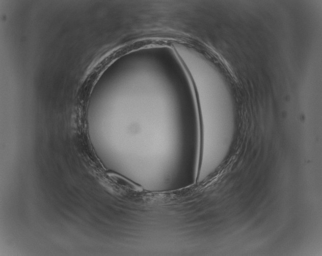 X0000081471352200701121005