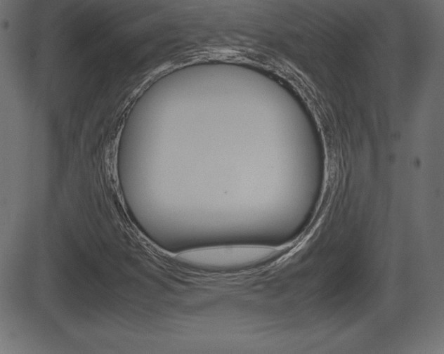 X0000081471353200701121005