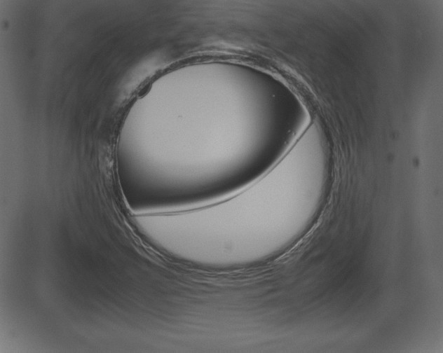 X0000081471355200701121005