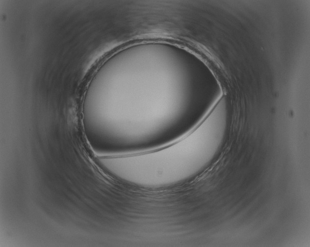 X0000081471356200701121005