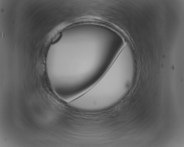 X0000081471363200701121005