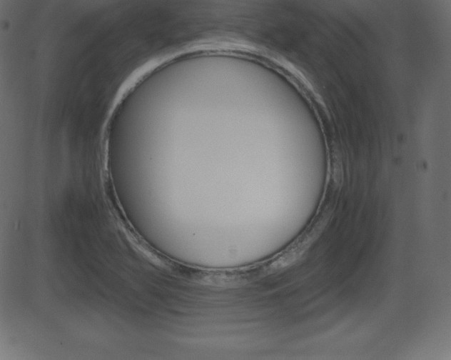 X0000081471366200701121005
