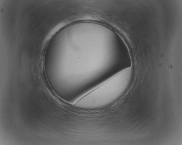 X0000081471367200701121005