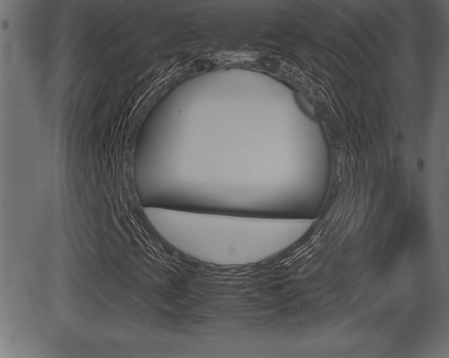 X0000081471393200701121004