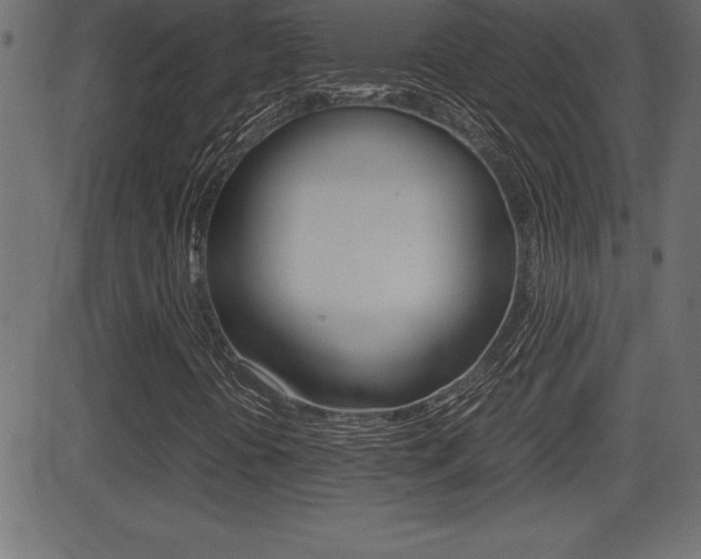 X0000081471394200701121004