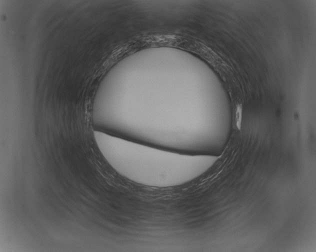 X0000081471395200701121004
