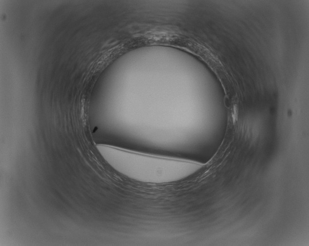 X0000081471396200701121004