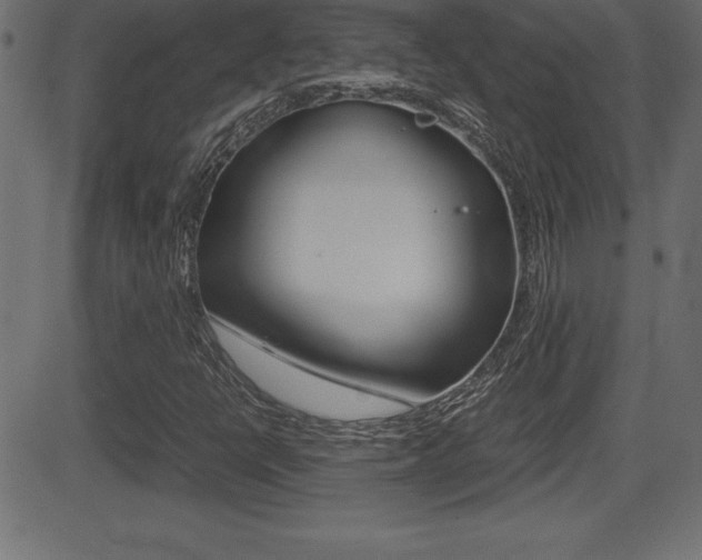 X0000081471398200701121004