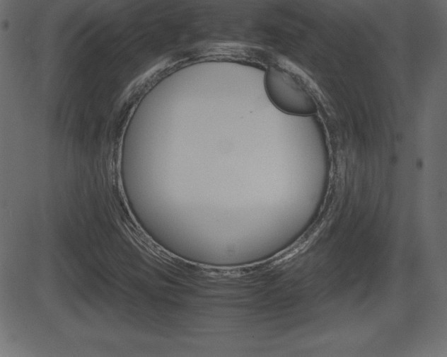 X0000081471403200701121004