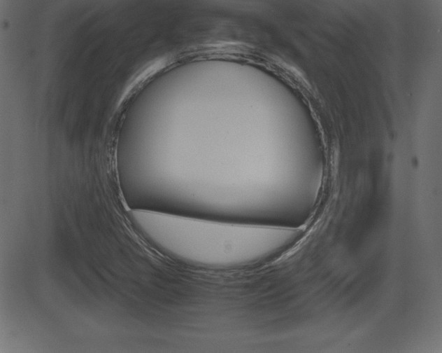 X0000081471405200701121004